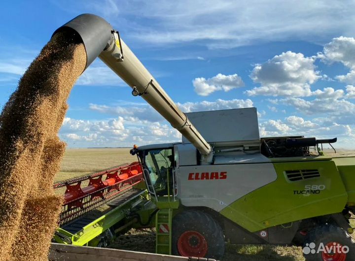 Уборка урожая рапса, сои, кукурузы, подсолнечника