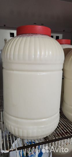 Молоко домашнее и творог собственного производства