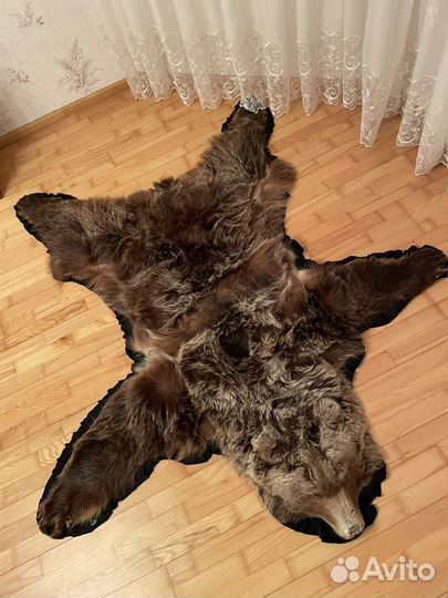 Шкура медведя