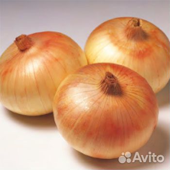 Семена лука Сеншуй Еллоу Глоб (250000 семян)