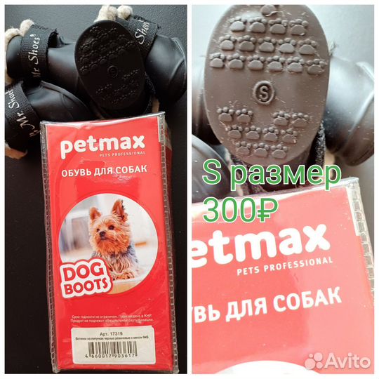 Одежда для собак