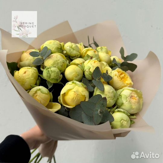 Розы Эквадор кустовые эвкалипт