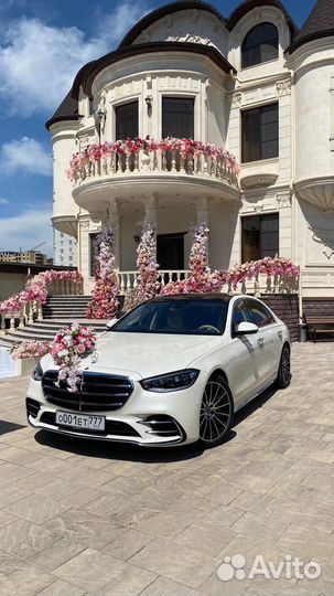 Прокат Mercedes 223