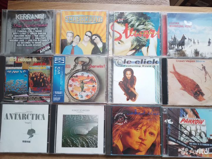 Сд фирма,лиц