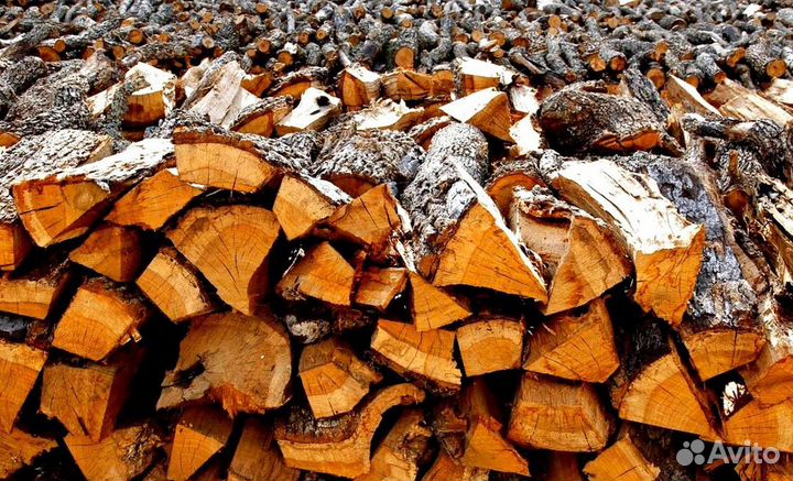 Дрова с Приморска
