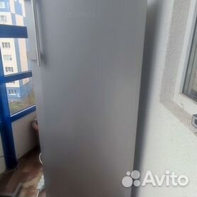 Холодильник однокамерный Liebherr Kel 2834