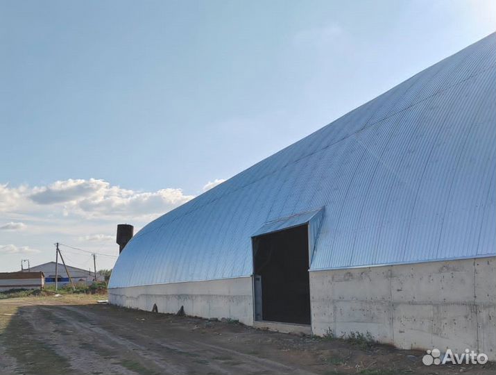 Ангар 12*50 / Склад