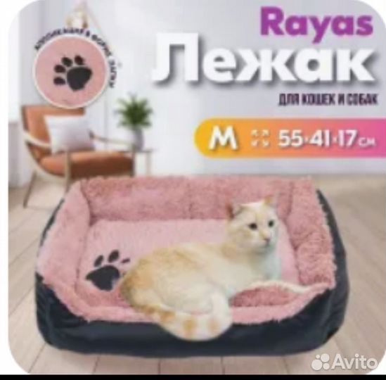 Вещи для собаки или кошки