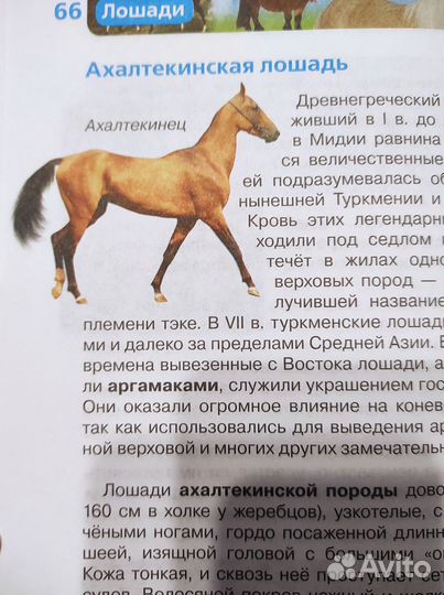 Энциклопедия 