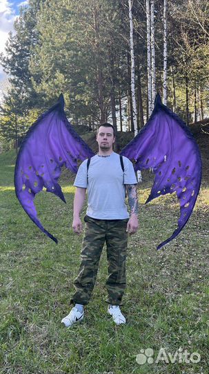 Крылья демона