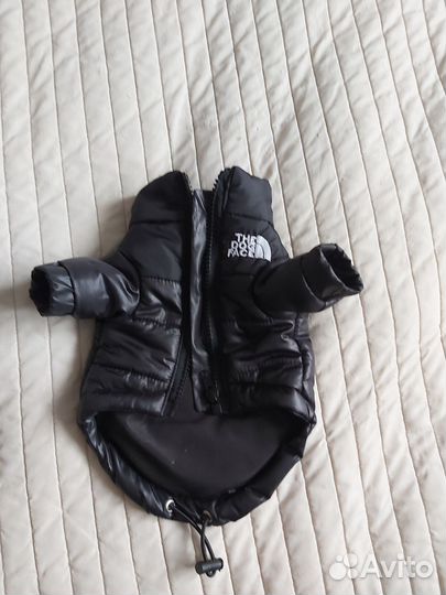 Куртка для маленькой собачки