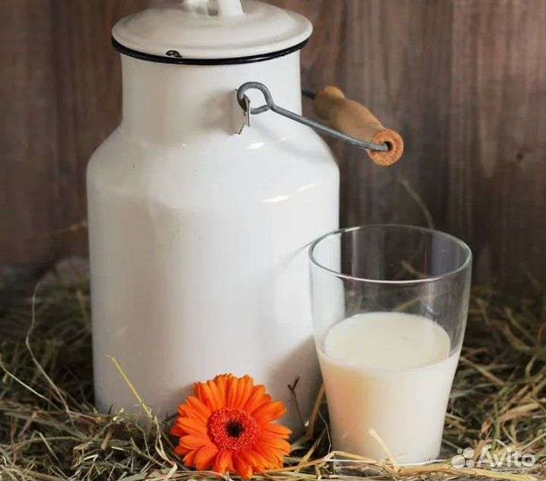 Молоко козье, куриные яйца