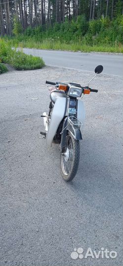 Suzuki birdie 2 tacta