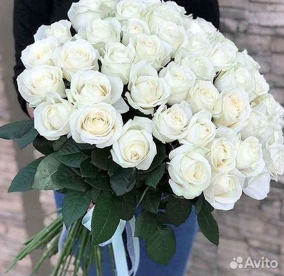 Высокие розы Гигантские Розы 150 160 170 180 190см