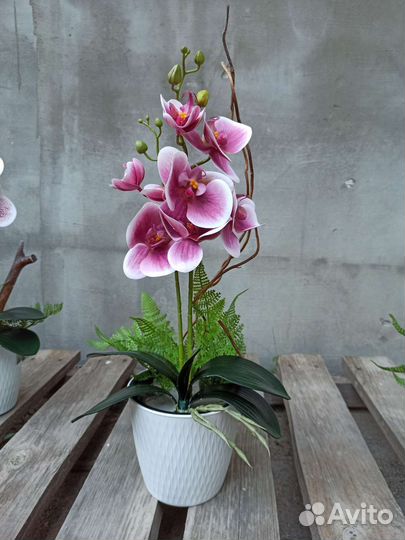 Орхидея фаленопсис искусственные