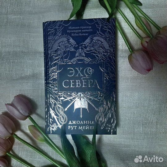 Книга Эхо Севера