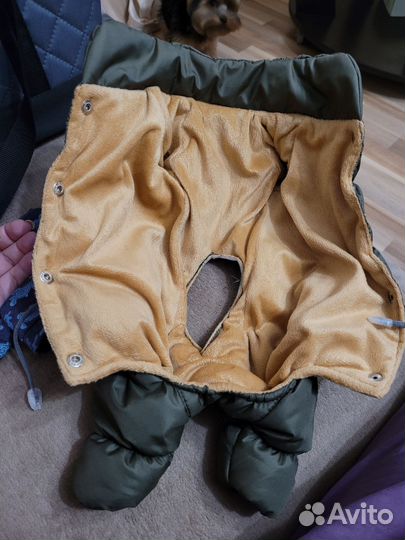 Одежда для маленькой собачки