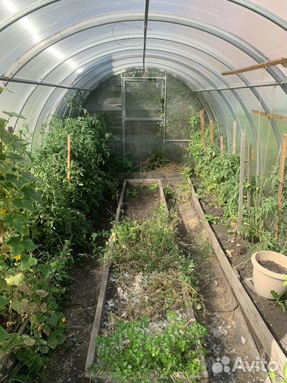 Теплица 3 на 6, усиленная