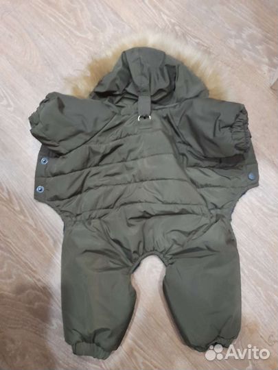 Одежда для собак