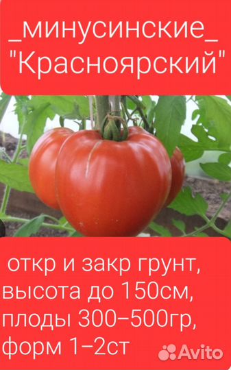 Семена урожайных сортов