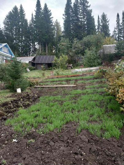 Дача 16 м² на участке 6 сот.