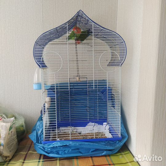 Клетка для птиц