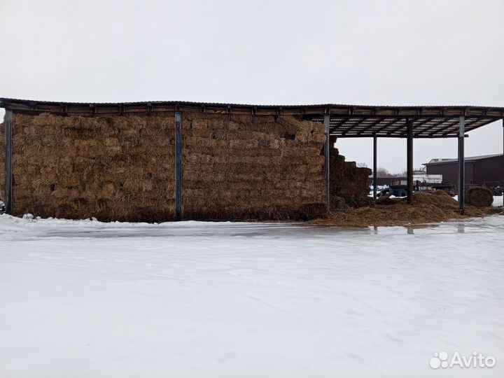 Сено луговое