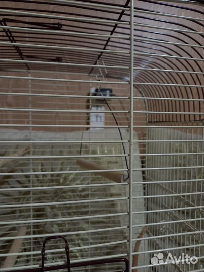 Клетка для попугаев