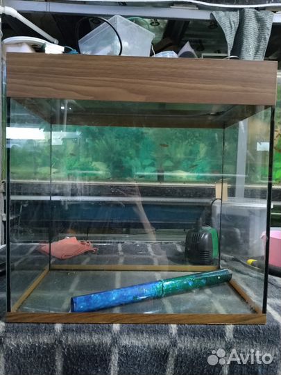 Аквариумы,коряги