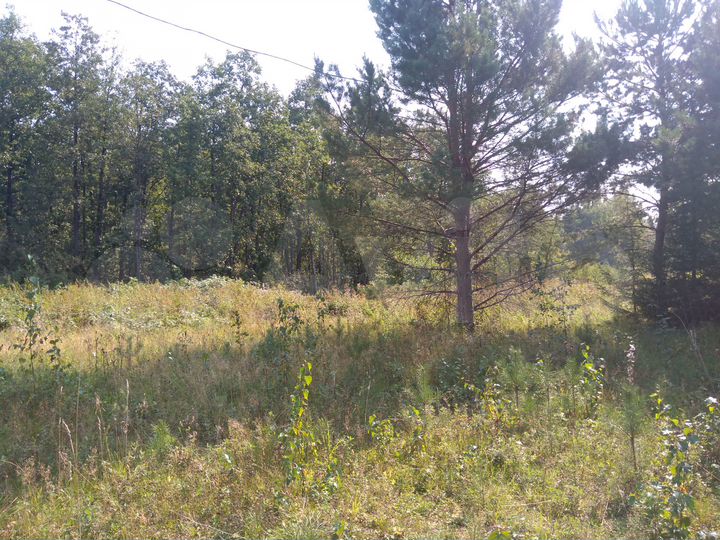 Участок 15,4 сот. (СНТ, ДНП)