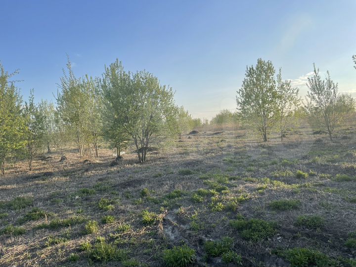 Участок 12,2 сот. (ИЖС)