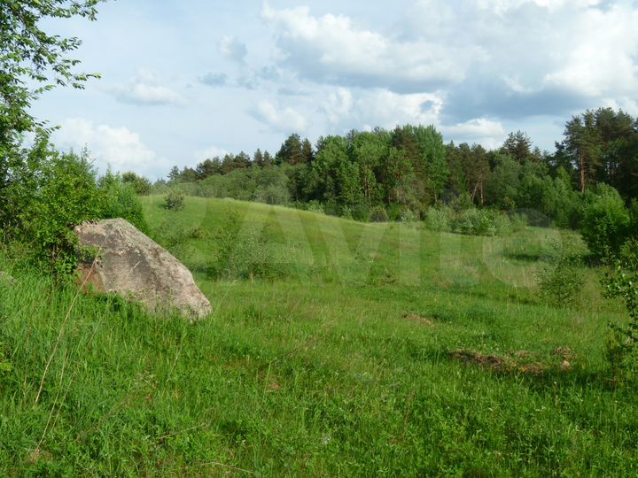Участок 1,15 га (ИЖС)