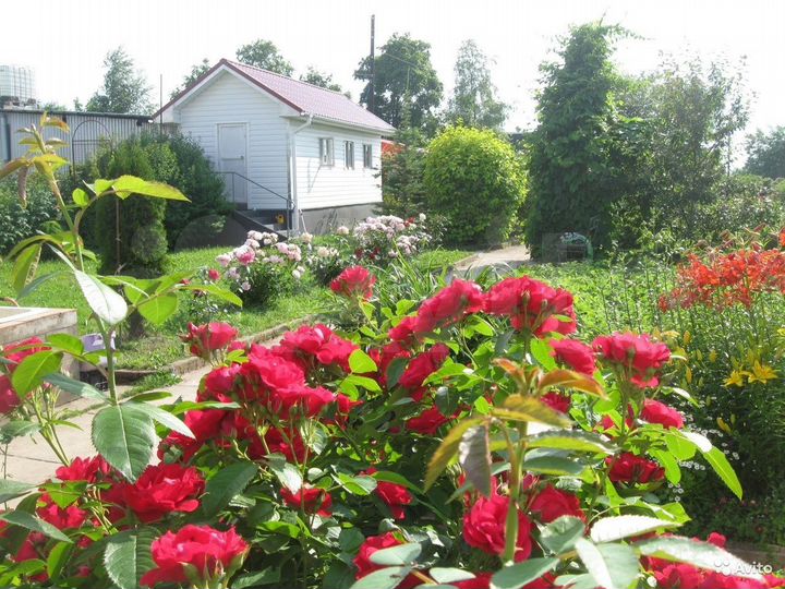 Дача 21 м² на участке 30 сот.