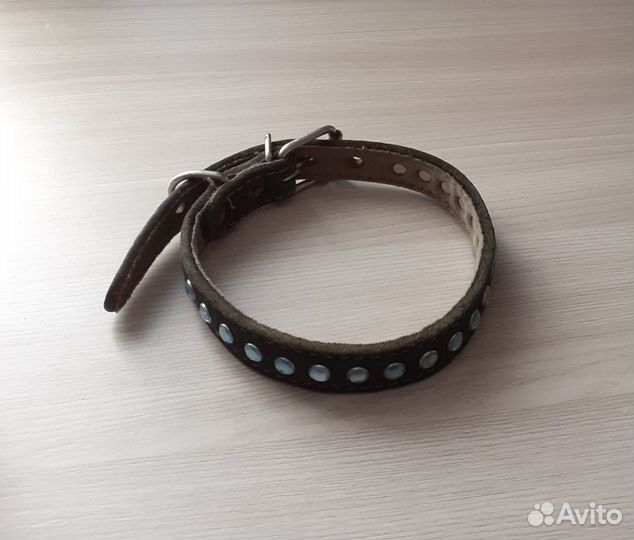 Ошейник для маленькой собаки