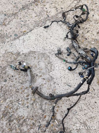 Проводка в сборе Хонда фит кузов GD3 двиг.L15A