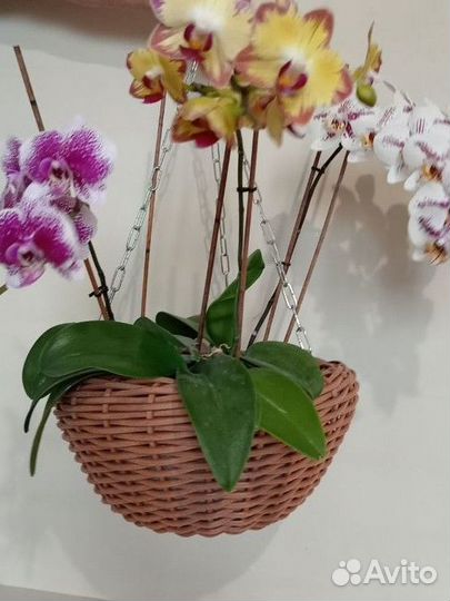 Подвесное кашпо из искусственного ротанга