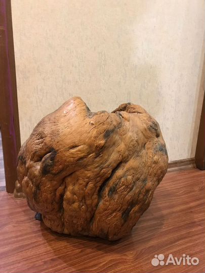 Кап березовый