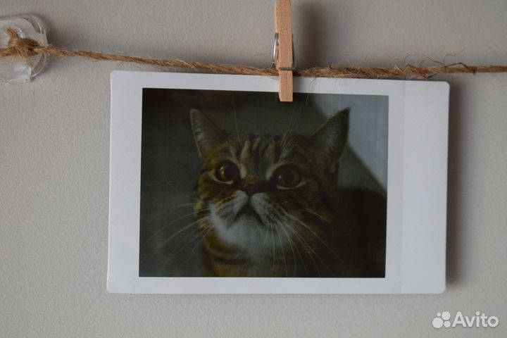 Печать фото поларойд instax