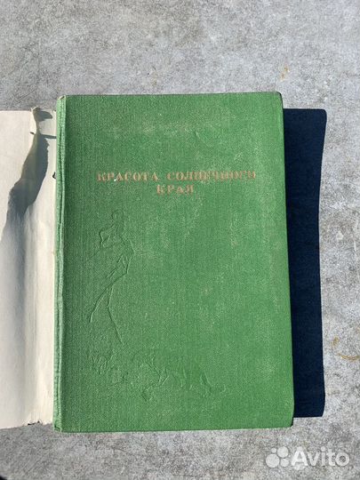 Красота солнечного края