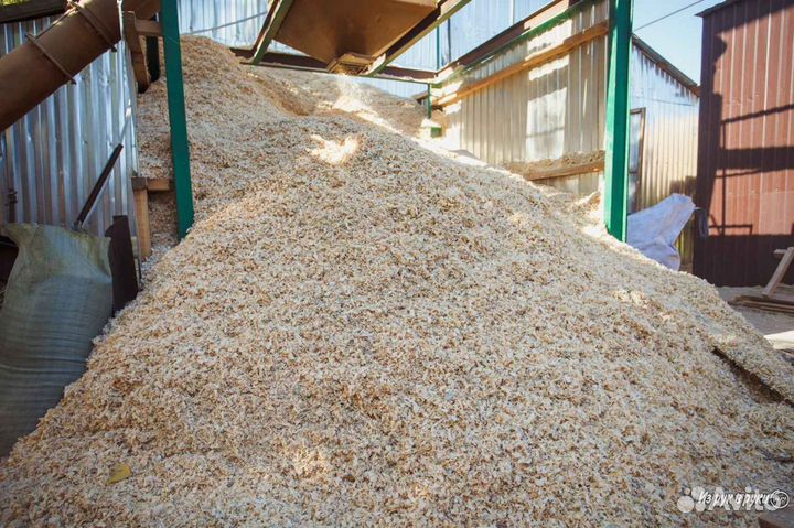 Опилки сухие(стружка и россыпью)