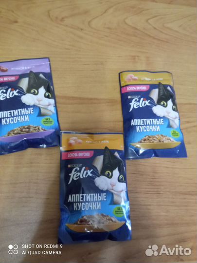 Влажный корм для кошек феликс влажный
