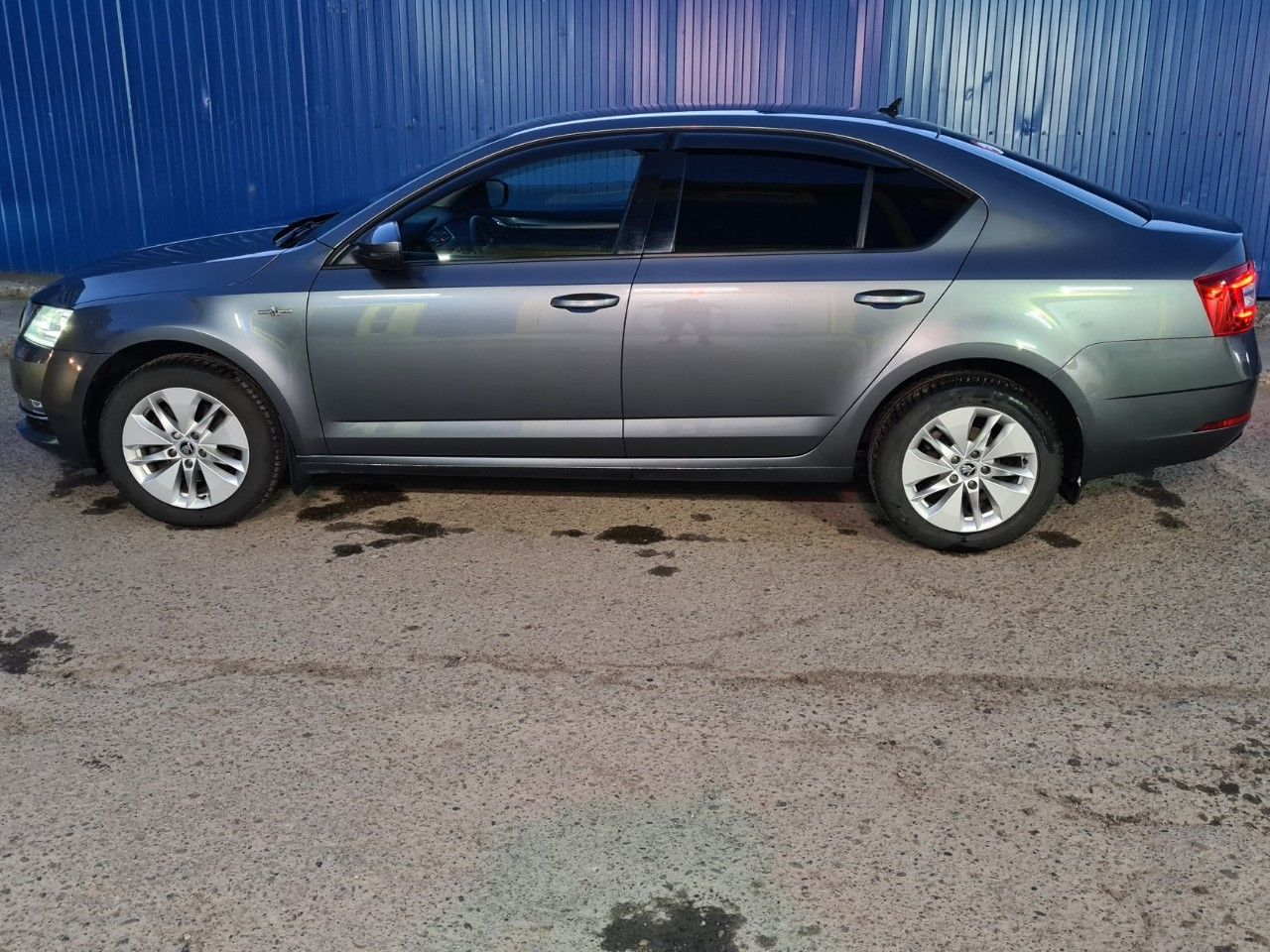 Skoda Octavia: фото владельца