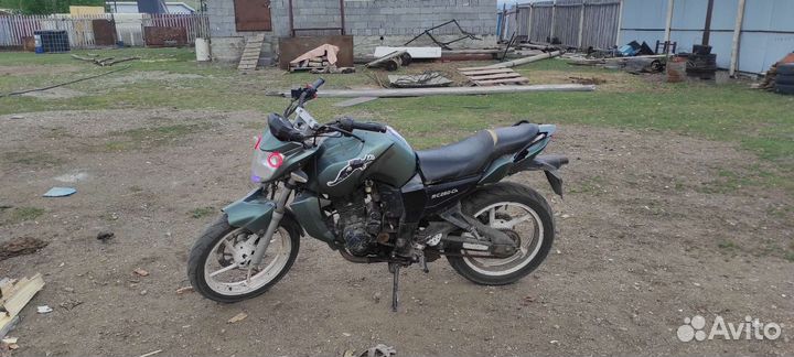 Рейсер нитро 250