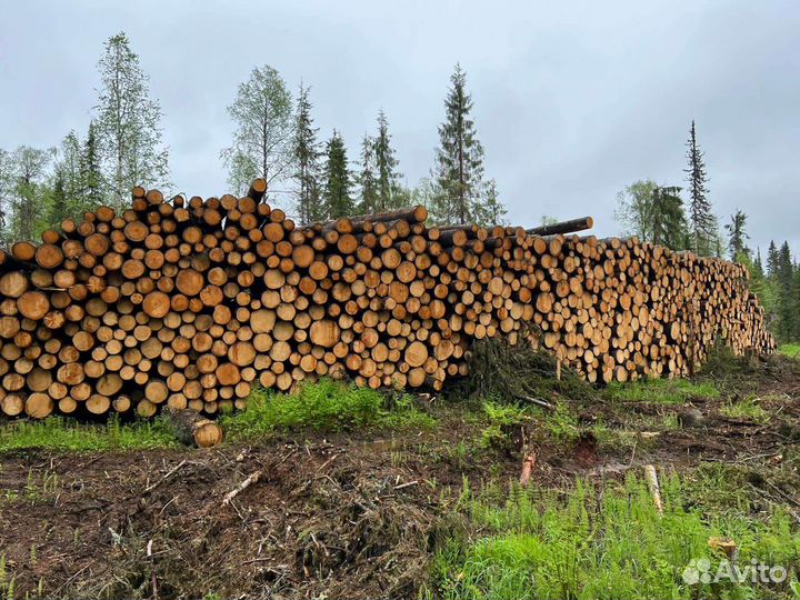 Лес кругляк пиловочник отборный выборка