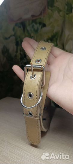 Ошейник для собак