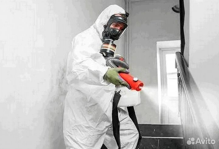 Уничтожение клопов тараканов грызунов блох