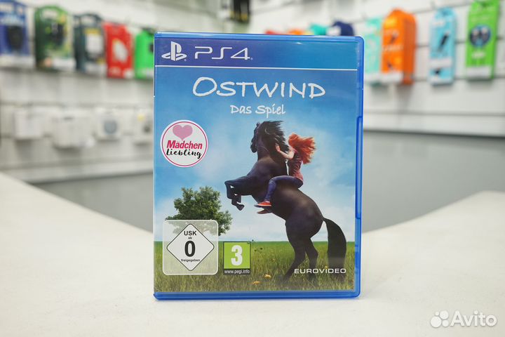 Ostwind / Windstorm The Game PS4