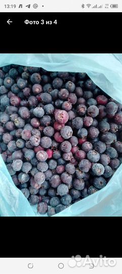 Ирга лесная свежемороженая