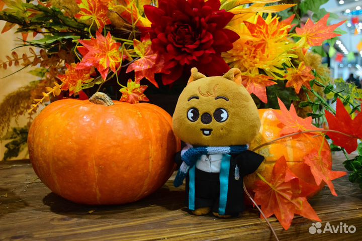 Одежда для skzoo