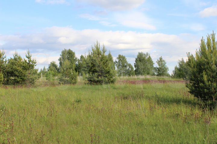 Участок 18 сот. (СНТ, ДНП)